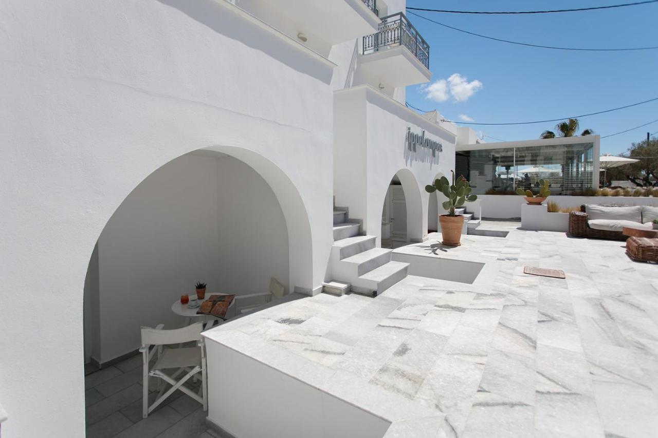 Ippokampos Beachfront Naxos City Zewnętrze zdjęcie